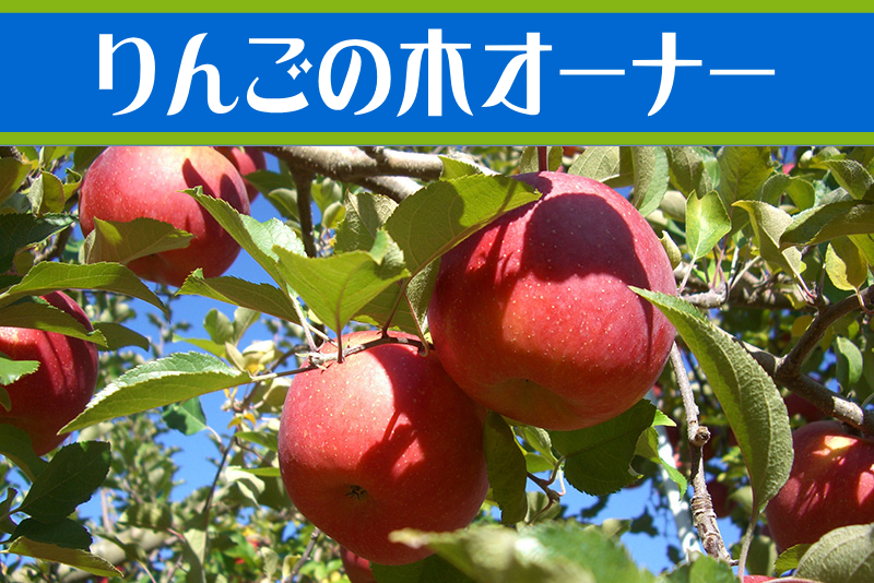 りんごの木オーナー
