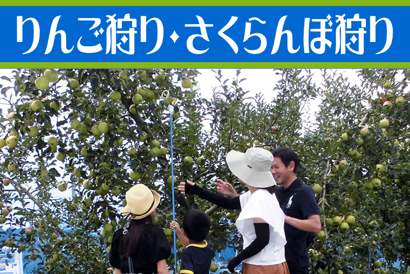 りんご狩り・さくらんぼ狩り